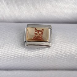 316L Çelik Gümüş Renk Gold Kedi İşlemeli Nomination Charm