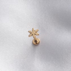 316L Cerrahi Çelik Gold Renk Yıldız Tragus Piercing