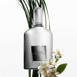 Tom Ford Grey Vetiver Parfum 50 ml